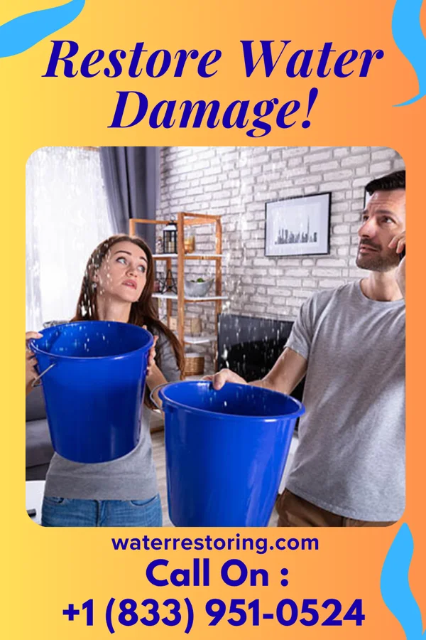 water restoration Golden Property Restoration Services Lavinia